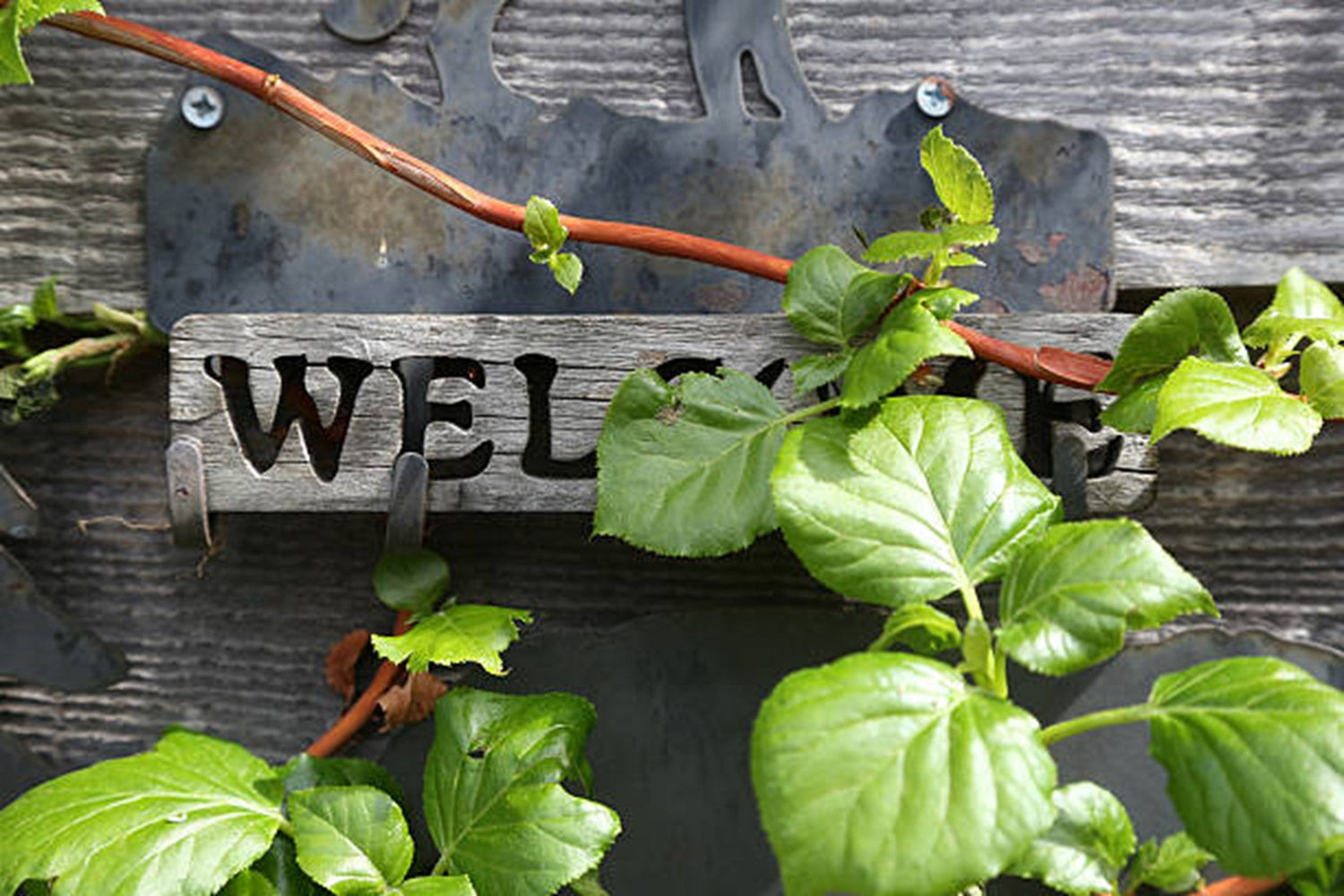 Welcome Wood Signs That Actually Fit Your Front Door and Porch